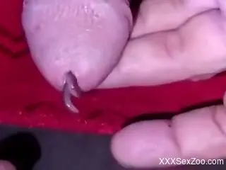 Man inserts crawling worm into his penis