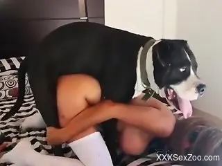 Sexy woman with huge tits, first cam show with a dog