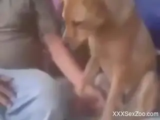 Old man wants his dog dick for a few rounds of zoo sex