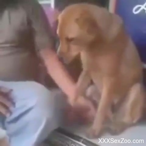 Old man wants his dog dick for a few rounds of zoo sex - XXXSexZoo.com