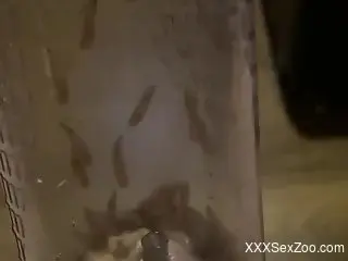 Dirty home zoo porn kinks for a man addicted to his worms