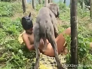 Masked hottie jerks off a dog and deepthroats its dick