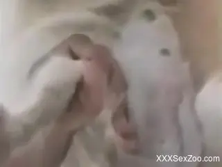 Close-up bestiality with some real freaky action