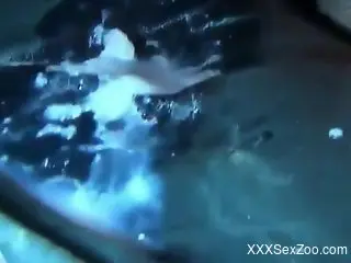 Mesh legwear hottie gets ass-fucked by a kinky pig