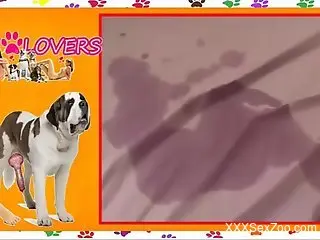 Dog cock penetrating a ripe human pussy in zoo porn