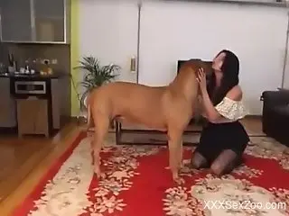 Brunette goes on all fours to take dog dick deep