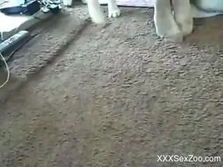 Incredible zoo fuck movie with intense gape and more