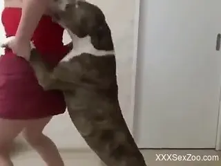 Bubble butt blonde screwed savagely by a doggo