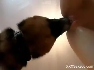 Rim job session ends with doggy style fucking