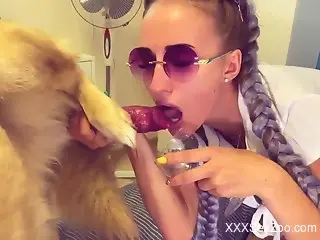 Braided zoophile beauty enjoying oral with a dog