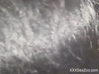 Awesome close-up zoo fucking with a kinky beast