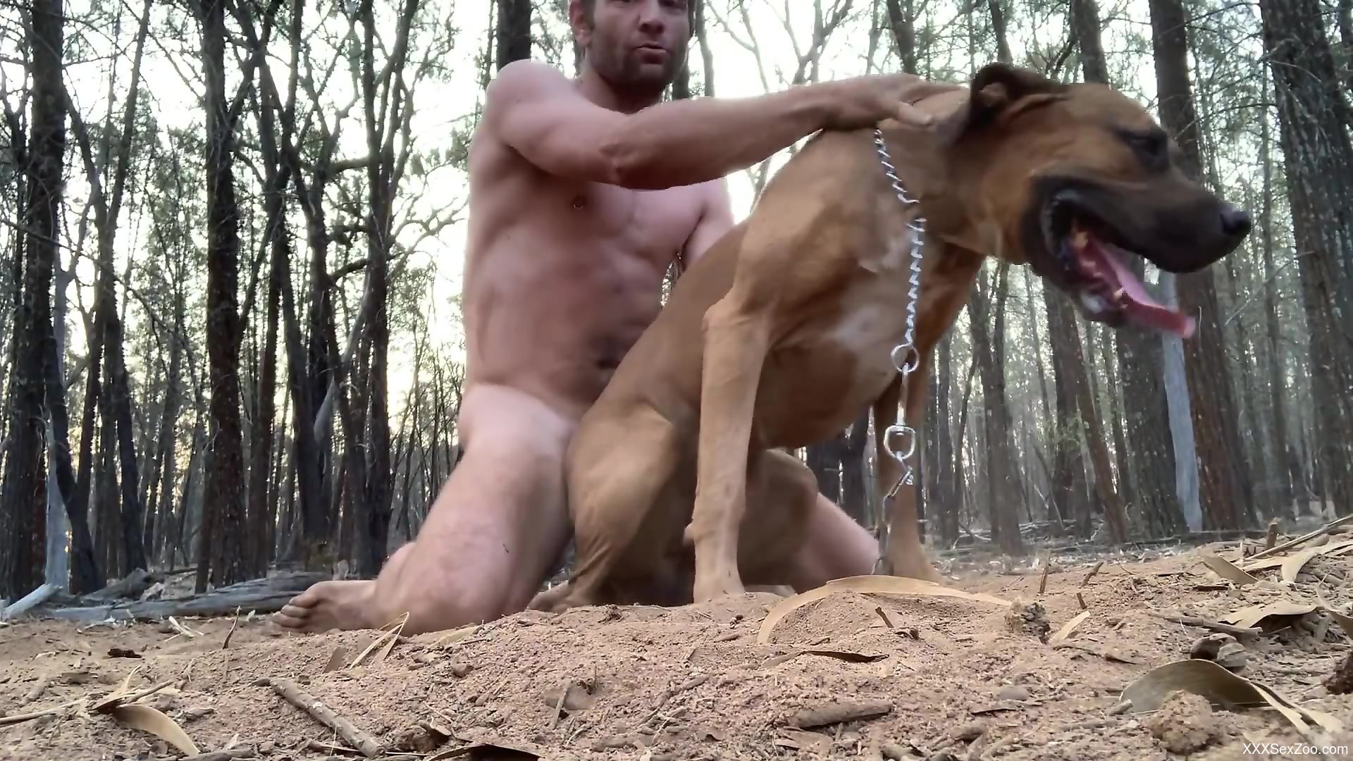 Dog vs man xxx video