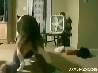 Sexy zoophile fucked in front of her biggest fan