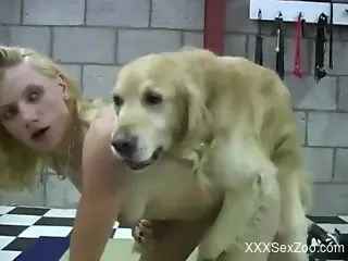Messy zoophilic scene with horny bitches in HD