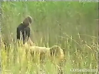Badass zoophile porno movie with sexy animals