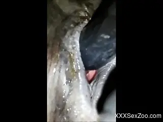 Double-sided toy used to fuck a mare's gorgeous hole