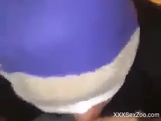 Amateur sucks dog dick in closeup cam scenes