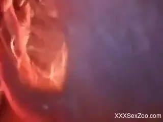 Compilation of the best bestialities to keep your dick hard