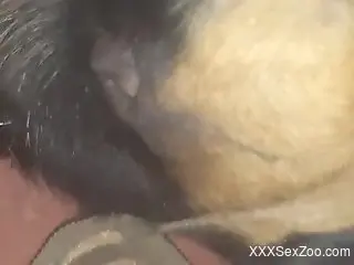 Zoophilic scene with amazing close-ups and beyond