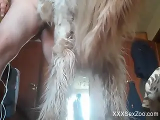 Hot and chubby dude gets his butthole licked big time