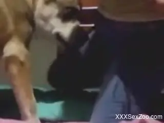 Crass MILF in ripped jeans enjoying hot dog fucking