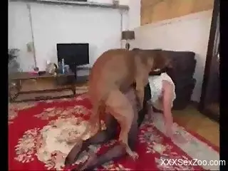 Spellbinding brunette babe getting dicked by a dog