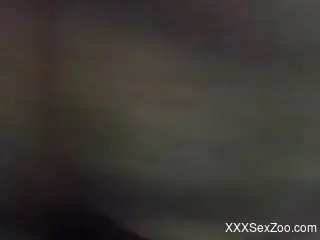 Close-up and very hectic bestiality porno movie