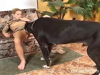 Lean bitch with nice boobs banged by a dirty dog