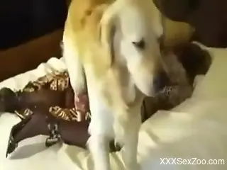 Dashing home porn with a fine blonde and her furry friend