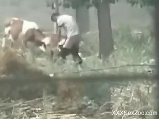 Spycam footage showing a dominant animal fucker
