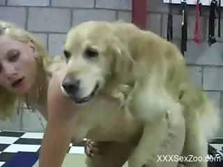 Furry mutt roughly fucks naked babe and comes on her fine ass