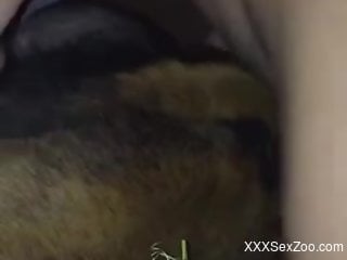 Juicy dog hole getting fucked by a horny dude