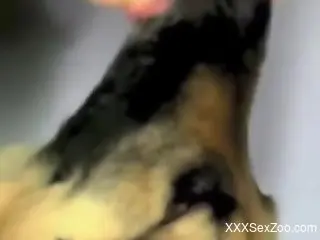 Zoophile making out with that sexy dog for the cam