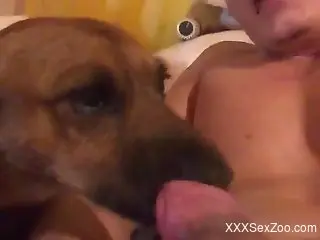 Dude places his yummy penis in the dog's hot mouth