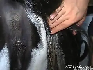 Dude is ready to gape a mare's hot pussy from behind