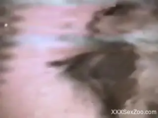 Hot lady enjoys the taste of that animal's penis