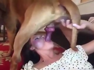 Compilation of the hottest bestiality blowjobs ever