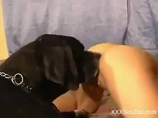 Hot brunette with big boobs takes dog dick in her mouth