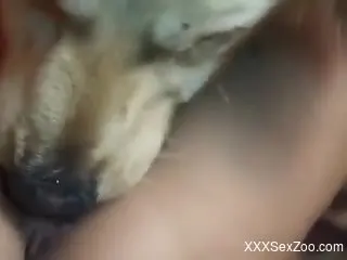Masked beauty worships a dog's dick on a big bed