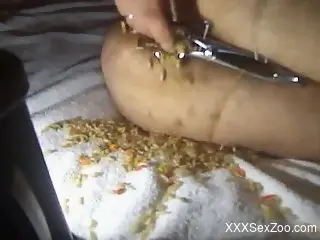 Big ass gay male inserts worms into the butt hole for a dirty ...