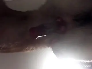 Appealing animal getting freaky in a porn movie