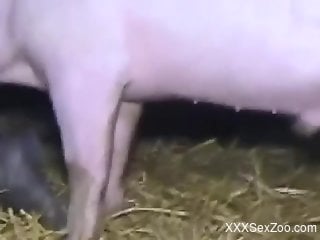 Blonde with an oozing cunt fucks pigs and dogs
