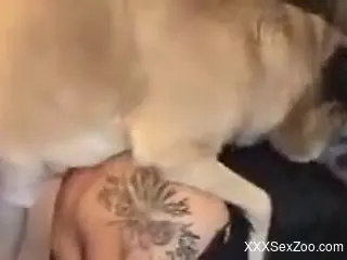 Furry mutt deep drills mature woman in the ass and pussy