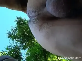Dude's juicy ass cannot go un-fucked in this zoo vid