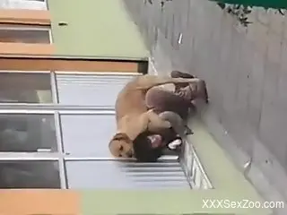 Clothed female humped by her horny dog in outdoor scenes