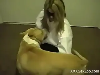 Blonde office babe tries hard sex with the dog while on cam