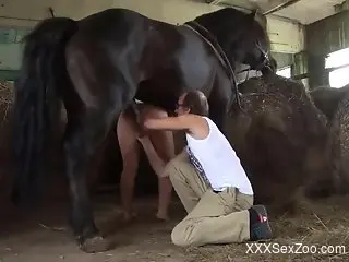 Wonderful pornographic scene with the best bitches that fuck