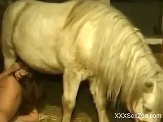 Pony porn movie with a truly lovely zoophile lady