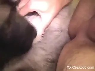 Man loves the dog licking his butt and even penetrating it