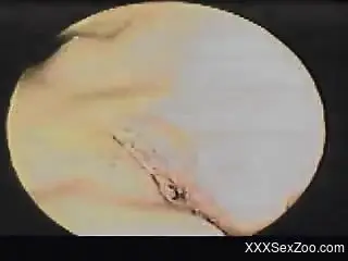 Vintage home zoophilia porn with a woman and her snake